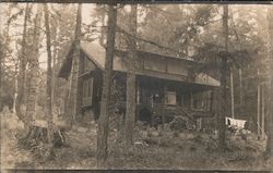 Lake Steilacoom Cabin in Woods "The Dingle" Lakewood, WA Postcard Postcard Postcard