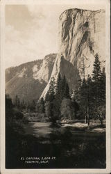 El Capitan, 3,604 Ft. Yosemite, CA Yosemite National Park Postcard Postcard Postcard