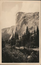 Yosemite National Park Postcard