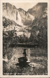 Yosemite Fall and Bear Cub Postcard