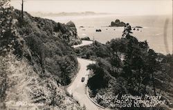 Redwood Highway Trends the Pacific Ocean Shore. Humboldt Co. California Postcard Postcard Postcard