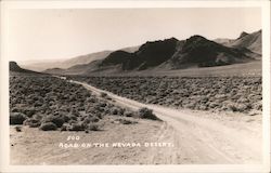 Road on the Nevada Desert Postcard