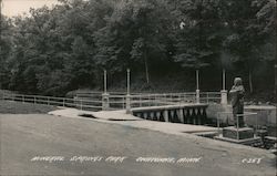 Mineral Springs Park Postcard
