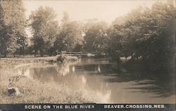 Scene on the Blue River Postcard