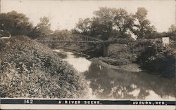 A river scene. Postcard