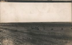 Wheat field with horse drawn equipment Postcard