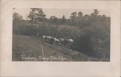 Watering Horses at Camp Otis Laramie, WY Postcard Postcard Postcard