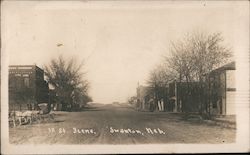 St. Scene Swanton, NE Postcard Postcard Postcard