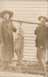 70 Lb. Cat Fish Caught by Wilson and Forsyth Postcard