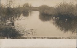 MIll Race - Brazile Creek. Creighton, NE Postcard Postcard Postcard