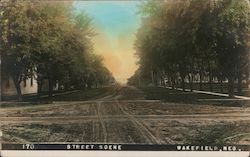 Street Scene Postcard