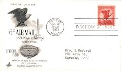 American Air Mail Society Convention - 6c Air Mail Postcard