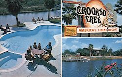 Crooked Tree Campground Brownsville, TX Postcard Postcard Postcard