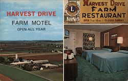 Harvest Drive Farm Motel Gordonville, PA Glen Eshelman Postcard Postcard Postcard