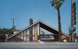 Sky Palm Motel Postcard