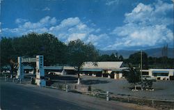 Beach Motel Postcard