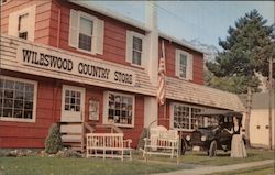 Wileswood Country Store Postcard