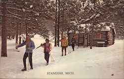 Winter Fun in Michigan Postcard