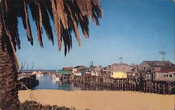 Fisherman's Wharf Postcard