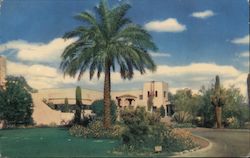 Camelback Inn Phoenix, AZ Postcard Postcard Postcard