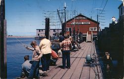 Wharf at Westport Washington Postcard