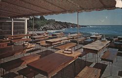 Darweed Lobster Pound Postcard