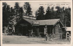 Carter's 40-Acre Lodge and Indian Trading Post Postcard