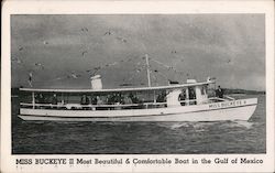 Miss Buckeye II - Most Beautiful & Comfortable Boat in the Gulf of Mexico Postcard
