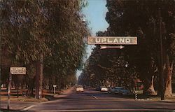 Euclid Ave Upland, CA Postcard Postcard Postcard