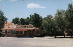 Nevada Motel and Cafe Postcard