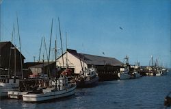 Lazio's Seafood Restaurant Eureka, CA Postcard Postcard Postcard