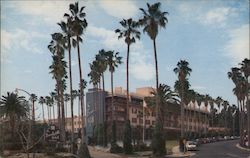 Beverly Hills Hotel Postcard