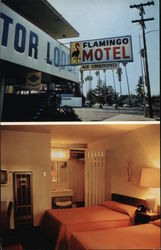 Flamingo Motor Lodge Postcard