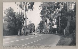 El Camino Read Postcard