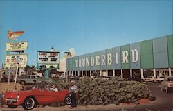 Stock #783368 Thumbnail