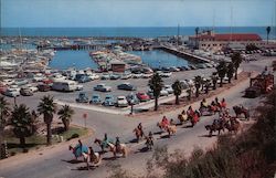 Yacht Harbor Postcard