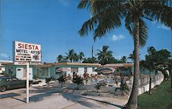Siesta Motel Postcard