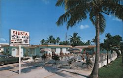 Siesta Motel Hollywood, FL Postcard Postcard Postcard