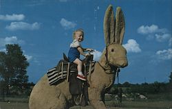 Texas Jack Rabbit Postcard