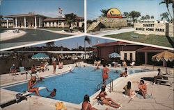 Sunset Mobile Home Park Pinellas Park, FL Postcard Postcard Postcard