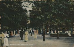 Main Avenue, Mt Gretna Park Postcard