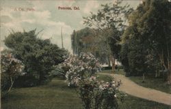 A Cal. Park Postcard
