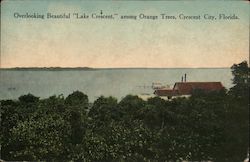 Overlooking Beautiful "Lake Crescent," among Orange Trees Postcard