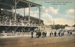 Viewing the Prize Cattle at the State Fair Postcard