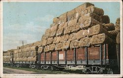 Train Loads of Cotton for Export Postcard