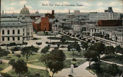 Bird's Eye View Postcard