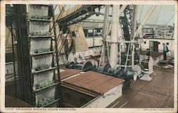 Unloading Bananas, Steam Conveyors on Ship Deck Postcard