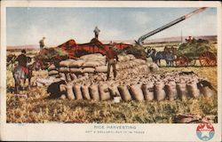 Rice Harvesting - Got a Dollar? Put it in Texas Postcard