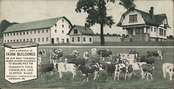 Farm Buildings and Cows - Hershey Chocolate Company Postcard