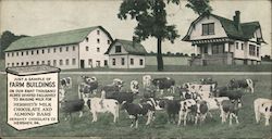 Farm Buildings and Cows - Hershey Chocolate Company Pennsylvania Postcard Postcard Postcard